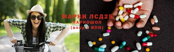 дмт Бородино