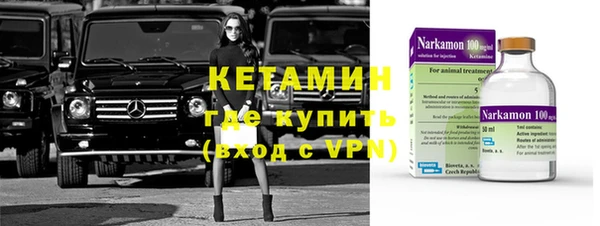 дмт Бородино