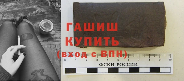 дмт Бородино