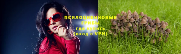 ПСИЛОЦИБИНОВЫЕ ГРИБЫ Бронницы