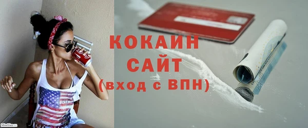 дмт Бородино