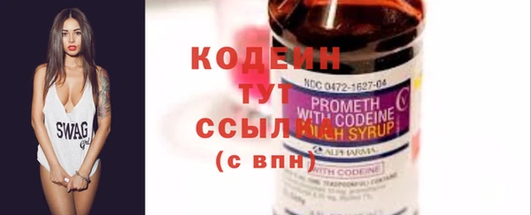 дмт Бородино