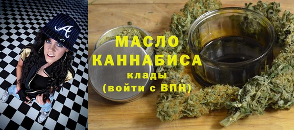 дмт Бородино