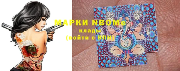 дмт Бородино