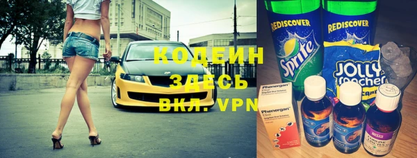 дмт Бородино