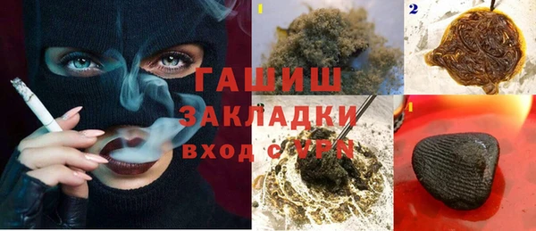 дмт Бородино