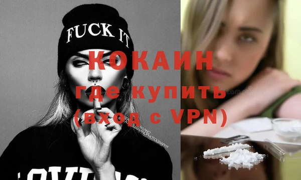 дмт Бородино
