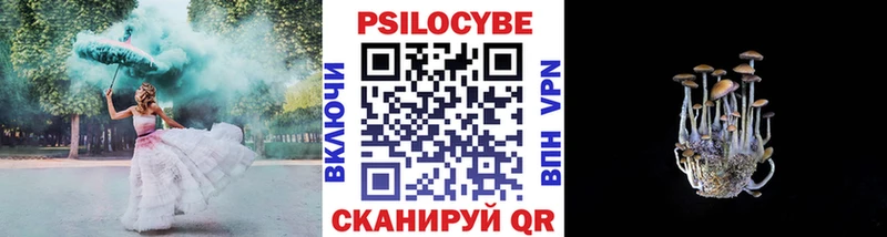нарко площадка как зайти  как найти закладки  Вятские Поляны  Псилоцибиновые грибы мицелий  ссылка на мегу ссылки 