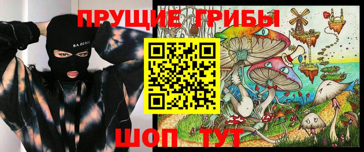 Псилоцибиновые грибы ЛСД  Вятские Поляны  Псилоцибиновые грибы Psilocybine cubensis 