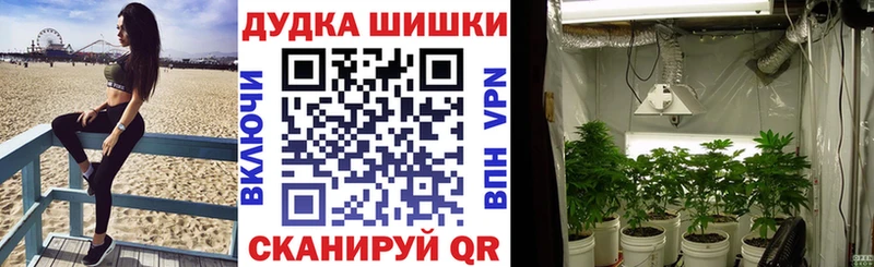Бошки марихуана план Вятские Поляны